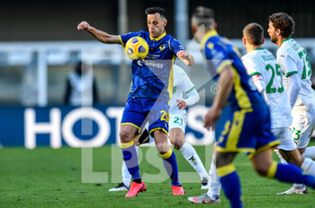 2020-11-22 - Lubomir Tupta (Hellas Verona FC) - HELLAS VERONA VS SASSUOLO - ITALIAN SERIE A - SOCCER
