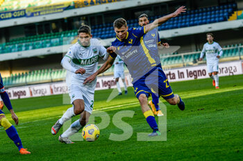 2020-11-22 - Pawel Dawidowicz (Hellas Verona FC) - HELLAS VERONA VS SASSUOLO - ITALIAN SERIE A - SOCCER