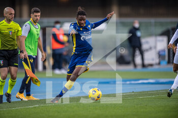 2020-11-22 - Adrien Tameze (Hellas Verona FC) - HELLAS VERONA VS SASSUOLO - ITALIAN SERIE A - SOCCER