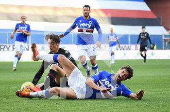 Sampdoria vs Bologna - ITALIAN SERIE A - SOCCER