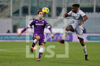 Fiorentina vs Hellas Verona - ITALIAN SERIE A - SOCCER