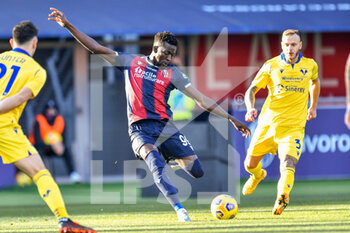 2021-01-16 - Musa Barrow (Bologna FC) in action - BOLOGNA VS HELLAS VERONA - ITALIAN SERIE A - SOCCER