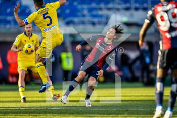 2021-01-16 - Marco Faraoni (Hellas Verona FC) in action - BOLOGNA VS HELLAS VERONA - ITALIAN SERIE A - SOCCER