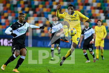 2021-02-07 - Adrien Tameze (Hellas Verona) carries the ball - UDINESE CALCIO VS HELLAS VERONA FC - ITALIAN SERIE A - SOCCER