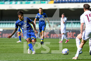 2021-05-09 - Eddie Salcedo (Hellas Verona) al tiro - HELLAS VERONA VS TORINO FC - ITALIAN SERIE A - SOCCER