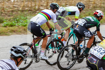 2019-10-01 - Samuele Battistella in corsa a San Daniele del Friuli - 82° COPPA SAN VITO - ELITE E UNDER 23 - STREET - CYCLING