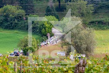 2019-10-01 - Passaggi del gruppo sulla salita del Castello di Arcano - 82° COPPA SAN VITO - ELITE E UNDER 23 - STREET - CYCLING