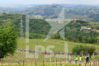 2021-05-10 - The passage of the group on the Piancanelli hill - 3^ TAPPA DEL GIRO D'ITALIA 2021 - BIELLA - CANALE - GIRO D'ITALIA - CYCLING