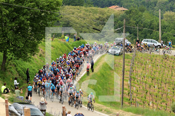 2021-05-10 - The passage of the big group at the Piancanelli hill - 3^ TAPPA DEL GIRO D'ITALIA 2021 - BIELLA - CANALE - GIRO D'ITALIA - CYCLING