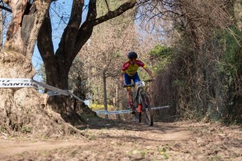 2019-02-24 - Lorenzo Pellegrini impegnato nel primo single track del percorso. - MTB INTERNATIONAL VERONA XCO. CATEGORIA ELITE MAN - MTB - MOUNTAIN BIKE - CYCLING