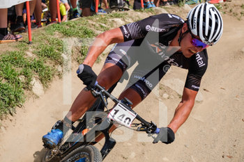 2019-08-04 - ROBBERT DE NIJS - COPPA DEL MONDO CROSS-COUNTRY - VAL DI SOLE UCI MTB WORLD CUP 2019 - MEN - MTB - MOUNTAIN BIKE - CYCLING