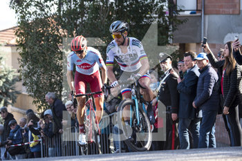 2019-03-17 - Sagan Peter - 5° TAPPA COLLI AL METAURO - RECANATI - TIRRENO - ADRIATICO - CYCLING