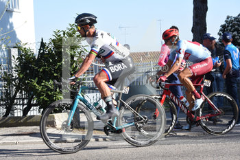 2019-03-17 - Sagan Peter - 5° TAPPA COLLI AL METAURO - RECANATI - TIRRENO - ADRIATICO - CYCLING