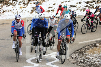 2021-02-13 - Gruppetto with Arnaud Demare of Groupama - FDJ during the Tour de la Provence, Stage 3, Istres â Chalet Reynard ( Mont Ventoux ) on February 13, 2021 in Bédoin, France - Photo Laurent Lairys / DPPI - TOUR DE LA PROVENCE, STAGE 3, ISTRES A CHALET REYNARD ( MONT VENTOUX ) - TOUR DE LA PROVENCE - CYCLING