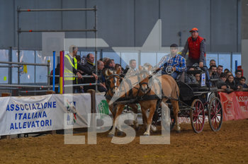 2019-11-07 - 121° Fiera cavalli a Verona - 121° FIERA CAVALLI DI VERONA - EVENTS - EQUESTRIAN