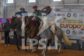 2019-11-07 - 121° Fiera cavalli a Verona - 121° FIERA CAVALLI DI VERONA - EVENTS - EQUESTRIAN