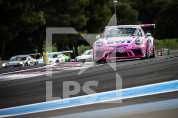 2020-10-04 - 91 Evans jaxon (aus), BWT Lechner Racing, Porsche 911 GT3 Cup, action during the 2nd round of the Porsche Carrera Cup France 2020, from October 2 to 4, 2020 on the Circuit Paul Ricard, in Le Castellet, France, France - Photo Thomas Fenetre / DPPI - 2ND ROUND OF THE PORSCHE CARRERA CUP 2020 - CARRERA CUP - MOTORS