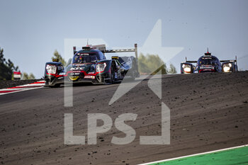 2021-06-13 - 28 Gelael Sean (idn), Vandoorne Stoffel (bel), Blomqvist Tom (gbr), Jota, Oreca 07 - Gibson, action during the 8 Hours of Portimao, 2nd round of the 2021 FIA World Endurance Championship on the Algarve International Circuit, from June 11th to 13th, 2021 in Portimao, Algarve, Portugal - Photo Paulo Maria / DPPI - 8 HOURS OF PORTIMAO, 2ND ROUND OF THE 2021 FIA WORLD ENDURANCE CHAMPIONSHIP - ENDURANCE - MOTORS