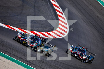 2021-06-13 - 28 Gelael Sean (idn), Vandoorne Stoffel (bel), Blomqvist Tom (gbr), Jota, Oreca 07 - Gibson, action during the 8 Hours of Portimao, 2nd round of the 2021 FIA World Endurance Championship on the Algarve International Circuit, from June 11th to 13th, 2021 in Portimao, Algarve, Portugal - Photo Paulo Maria / DPPI - 8 HOURS OF PORTIMAO, 2ND ROUND OF THE 2021 FIA WORLD ENDURANCE CHAMPIONSHIP - ENDURANCE - MOTORS