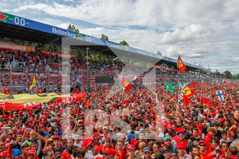 2019-09-08 - Tifosi Scuderia Ferrari - GRAN PREMIO HEINEKEN D´ITALIA 2019 - DOMENICA - PODIO - FORMULA 1 - MOTORS