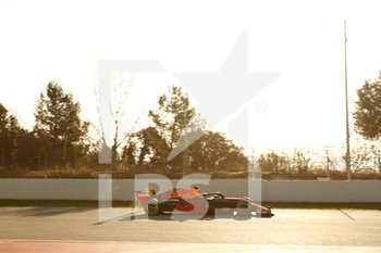 2020-02-19 - Max Verstappen (NED) Red Bull Racing RB15 - PRE-SEASON TESTING 2020 - DAY 1 - FORMULA 1 - MOTORS
