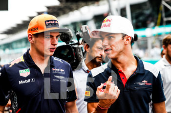 2020-09-07 - VERSTAPPEN Max (ned) Red Bull Tag Heuer RB13, GASLY Pierre (fra) Toro Rosso Ferrari STR12 team Toro Rosso, ambiance portrait during 2017 Formula 1 FIA world championship, Malaysia Grand Prix, at Sepang from September 28 to October 1 - Photo Florent Gooden / DPPI - PIERRE GASLY CAREER - FORMULA 1 - MOTORS