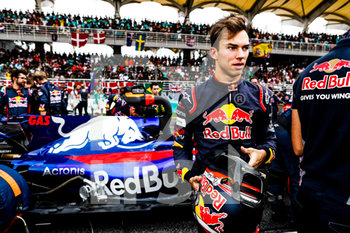 2020-09-07 - GASLY Pierre (fra) Toro Rosso Ferrari STR12 team Toro Rosso, ambiance starting grid during 2017 Formula 1 FIA world championship, Malaysia Grand Prix, at Sepang from September 28 to October 1 - Photo Florent Gooden / DPPI - PIERRE GASLY CAREER - FORMULA 1 - MOTORS