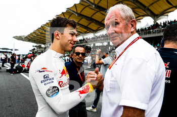 2020-09-07 - GASLY Pierre (fra) Toro Rosso Ferrari STR12 team Toro Rosso, ambiance starting grid with MARKO Helmut (aut) Red Bull racing drivers manager, ambiance portrait during 2017 Formula 1 FIA world championship, Malaysia Grand Prix, at Sepang from September 28 to October 1 - Photo Florent Gooden / DPPI - PIERRE GASLY CAREER - FORMULA 1 - MOTORS