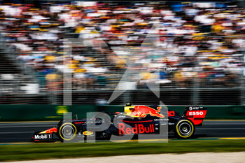 2020-09-07 - GASLY Pierre (fra), Aston Martin Red Bull Racing Honda RB15, action during 2019 Formula 1 championship at Melbourne, Australia Grand Prix, from March 14 to 17 - Photo Florent Gooden / DPPI - PIERRE GASLY CAREER - FORMULA 1 - MOTORS