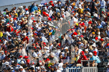 2020-09-27 - Crowd for the start during the Formula 1 VTB Russian Grand Prix 2020, from September 25 to 27, 2020 on the Sochi Autodrom, in Sochi, Russia - Photo Antonin Vincent / DPPI - FORMULA 1 VTB RUSSIAN GRAND PRIX 2020 - SUNDAY - FORMULA 1 - MOTORS