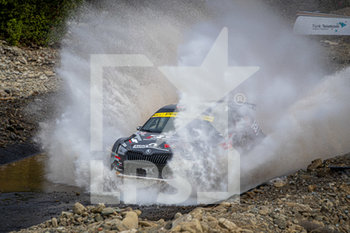 2020-09-20 - 23 Eyvind BRYNILDSEN (NOR), Ilka MINOR (aut), TOKSPORT WRT, SKODA Fabia Evo, WRC 2, action during the 2020 Rally of Turkey, 5th round of the 2020 FIA WRC Championship from September 18 to 20, 2020 at Marmaris, Mugla in Turkey - Photo Gregory Lenormand / DPPI - RALLY OF TURKEY, 5TH ROUND OF THE 2020 FIA WRC - RALLY - MOTORS