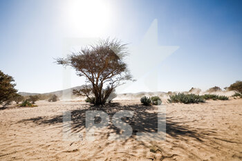2021-01-03 - landscape, paysage, quad, action during the 1st stage of the Dakar 2021 between Jeddah and Bisha, in Saudi Arabia on January 3, 2021 - Photo Frédéric Le Flocâh / DPPI - DAKAR 2021 - FIRST STAGE - JEDDAH - BISHA - RALLY - MOTORS