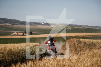 2021-05-13 - 07 Quintanilla Pablo (chl), Monster Energy Honda Team, Honda CRF450 Rally, action during the 2021 Andalucia Rally, from May 12 to 16, 2021 around Villamartin, Spain - Photo Frédéric Le Floc'h / DPPI - 2021 ANDALUCIA RALLY - RALLY - MOTORS