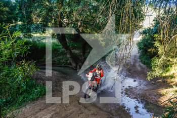 2021-05-14 - 88 Bort Barreda Joan (esp), Monster Energy Honda Team, Honda CRF450 Rally, action during the 2021 Andalucia Rally, from May 12 to 16, 2021 around Villamartin, Spain - Photo Frédéric Le Floc'h / DPPI - 2021 ANDALUCIA RALLY - RALLY - MOTORS