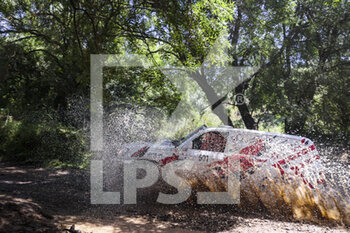 2021-05-14 - 601 Rollet Pascal (fra), Denecheau Stéphane (fra), Toyota HDJ 100, action during the 2021 Andalucia Rally, from May 12 to 16, 2021 around Villamartin, Spain - Photo Julien Delfosse / DPPI - 2021 ANDALUCIA RALLY - RALLY - MOTORS