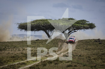 2021-06-25 - 08 Ott TANAK (EST), Martin JARVEOJA (EST), HYUNDAI SHELL MOBIS WORLD RALLY TEAM, HYUNDAI I20 Coupé WRC, WRC ,action during the 2021 Safari Rally Kenya, 6th round of the 2021 FIA WRC, FIA World Rally Championship, from June 24 to 27, 2021 in Nairobi, Kenya - Photo François Flamand / DPPI - 2021 SAFARI RALLY KENYA, 6TH ROUND OF THE 2021 FIA WRC, FIA WORLD RALLY CHAMPIONSHIP - RALLY - MOTORS
