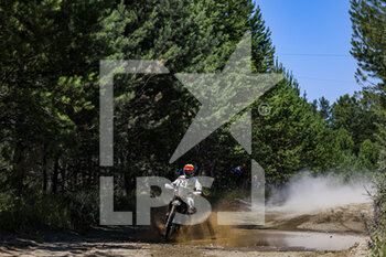 2021-07-03 - 24 Winkler Andrea (ita), KTM 450 Rally, action during the Silk Way Rally 2021's 2nd stage between Novosibirsk and Gorno-Altaysk, in Russia on July 03, 2021 - Photo Julien Delfosse / DPPI - SILK WAY RALLY 2021'S 2ND STAGE BETWEEN NOVOSIBIRSK AND GORNO-ALTAYSK - RALLY - MOTORS