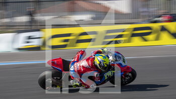 2020-10-16 - N°19 Alvaro Bautista ESP Honda CBR1000 RR-R Team HRC - ROUND 8 PIRELLI ESTORIL ROUND 2020 - FREE PRACTICE - SUPERBIKE - MOTORS