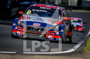 2020-09-11 - 08 Engstler Luca (deu), Engstler Hyundai N Liqui Moly Racing Team, Hyundai i30 N TCR, action during the 2020 FIA WTCR Race of Belgium, 1st round of the 2020 FIA World Touring Car Cup, on the Circuit Zolder, from September 11 to 13, 2020 in Zolder, Belgium - Photo Paulo Maria / DPPI - FIA WORLD TOURING CAR CUP 2020 - BELGIO - GRAND TOURISM - MOTORS