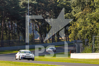 2020-09-11 - 55 Boldizs Bence (hun), Zengo Motorsport, Cupra Leon Competicion TCR, action during the 2020 FIA WTCR Race of Belgium, 1st round of the 2020 FIA World Touring Car Cup, on the Circuit Zolder, from September 11 to 13, 2020 in Zolder, Belgium - Photo Fr - FIA WORLD TOURING CAR CUP 2020 - BELGIO - GRAND TOURISM - MOTORS