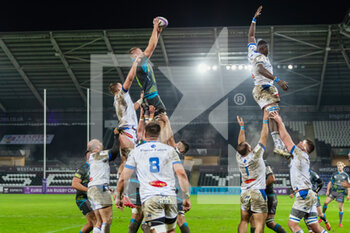 2020-12-12 - Ospreys' second row Lloyd Ashley claims the line out during the European Rugby Challenge Cup, rugby union match between Ospreys and Castres on December 12, 2020 at the Liberty Stadium in Swansea, Wales - Photo Dan Minto / ProSportsImages / DPPI - OSPREYS VS CASTRES - CHALLENGE CUP - RUGBY