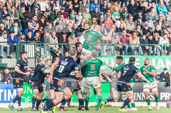 2019-03-02 - Marco Lazzaroni - BENETTON RUGBY VS EDINBURGH RUGBY - GUINNESS PRO 14 - RUGBY