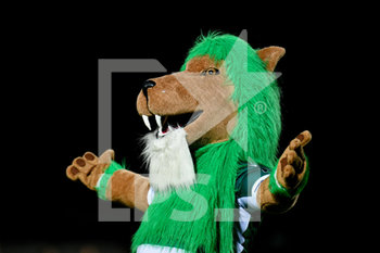 2019-09-13 - La mascotte del Benetton Rugby - AMICHEVOLE PRE SEASON - BENETTON TREVISO VS ZEBRE RUGBY - GUINNESS PRO 14 - RUGBY