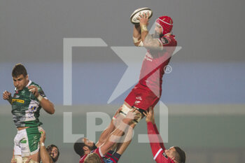 2020-10-23 - Blade Thomson (Scarlets) - BENETTON VS SCARLETS - GUINNESS PRO 14 - RUGBY