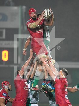 2020-10-23 - Blade Thomson (Scarlets) catches the ball after a touch - BENETTON TREVISO VS SCARLETS RUGBY - GUINNESS PRO 14 - RUGBY