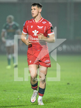2020-10-23 - Tom Rogers (Scarlets) - BENETTON TREVISO VS SCARLETS RUGBY - GUINNESS PRO 14 - RUGBY