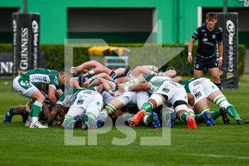 2021-04-24 - Dewaldt Duvenage (Benetton Treviso) introducing the ball in the scrum - RAINBOW CUP 2021 - BENETTON TREVISO VS GLASGOW WARRIORS - GUINNESS PRO 14 - RUGBY