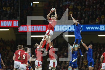 2020-02-01 - Aaron Wainwright (Galles) recupera palla in touche - GALLES VS ITALIA - SIX NATIONS - RUGBY