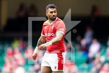 2021-07-10 - Willis Halaholo of Wales during the 2021 Summer Internationals, Rugby Union test match between Wales and Argentina on July 10, 2021 at Principality Stadium in Cardiff, Wales - Photo Simon King / ProSportsImages / DPPI - TEST MATCH 2021 - WALES VS ARGENTINA - TEST MATCH - RUGBY