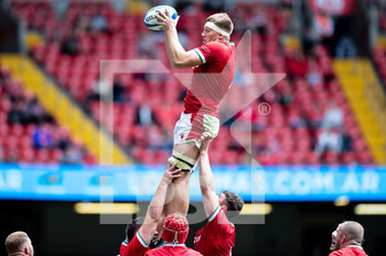 2021-07-10 - Ben Carter of Wales claims the lineout during the 2021 Summer Internationals, Rugby Union test match between Wales and Argentina on July 10, 2021 at Principality Stadium in Cardiff, Wales - Photo Simon King / ProSportsImages / DPPI - TEST MATCH 2021 - WALES VS ARGENTINA - TEST MATCH - RUGBY